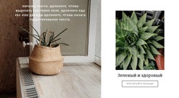 Программное Обеспечение Для Создания Интеллектуальных Макетов Для Зеленый И Здоровый