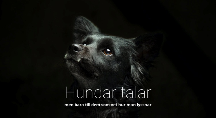 Hundar talar CSS -mall