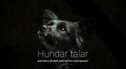 Hundar Talar - Webbdesign För Flera Ändamål