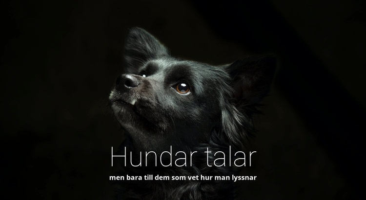 Hundar talar HTML-mall