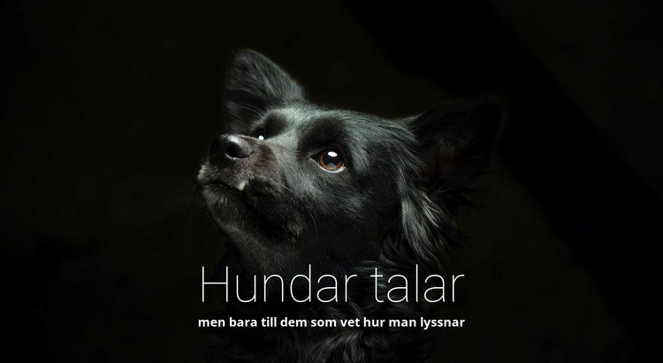 Hundar talar Webbplats mall