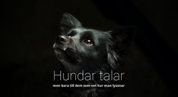 Hundar Talar - Ultimata WordPress-Tema