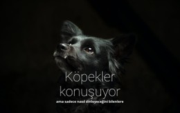 Köpekler Konuşuyor Için CSS ızgara Şablonu Sütunu