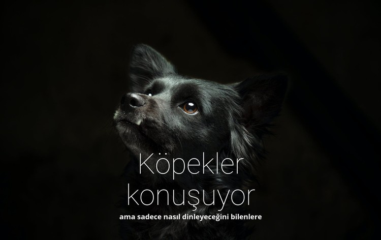 Köpekler konuşuyor CSS Şablonu