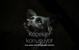 Köpekler Konuşuyor - HTML Şablon Kodu
