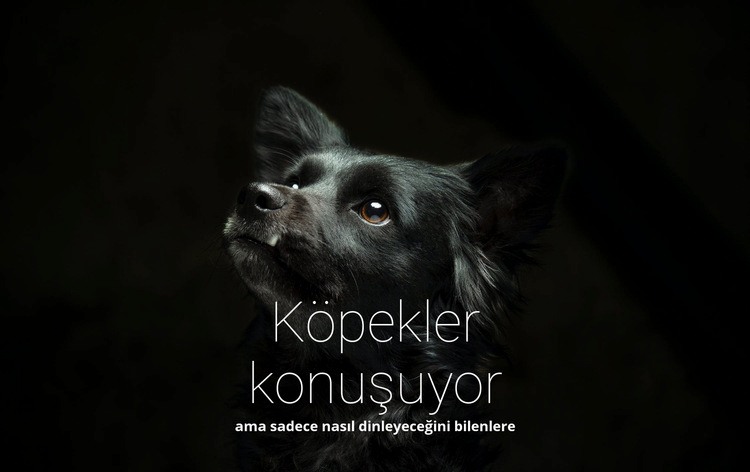 Köpekler konuşuyor Html Web Sitesi Oluşturucu