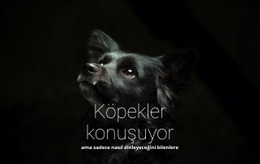 Köpekler Konuşuyor Için Ücretsiz CSS