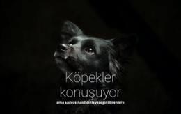 Köpekler Konuşuyor - Bir Sayfalık Şablon