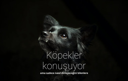 Köpekler Konuşuyor - Yerleşik Cms Işlevi