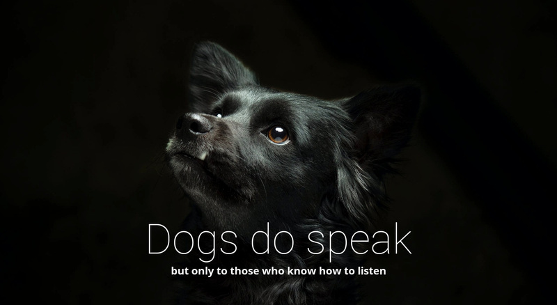 Dogs do speak Web Page Design