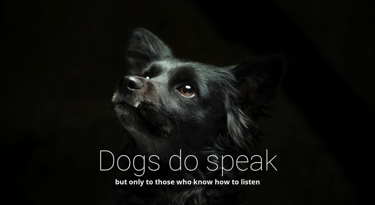 Dogs do speak Website Design