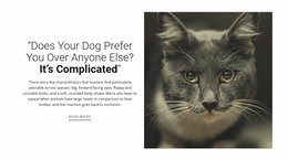 Most Creative Website Mockup For Pet'S Stories