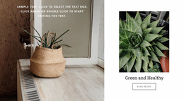 Smart Mockup Software For Green And Healthy