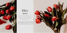 Divná Květina – Nejlepší Bezplatný Motiv WordPress
