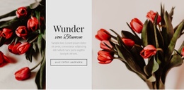 Wunder Blühen - Responsives Website-Design