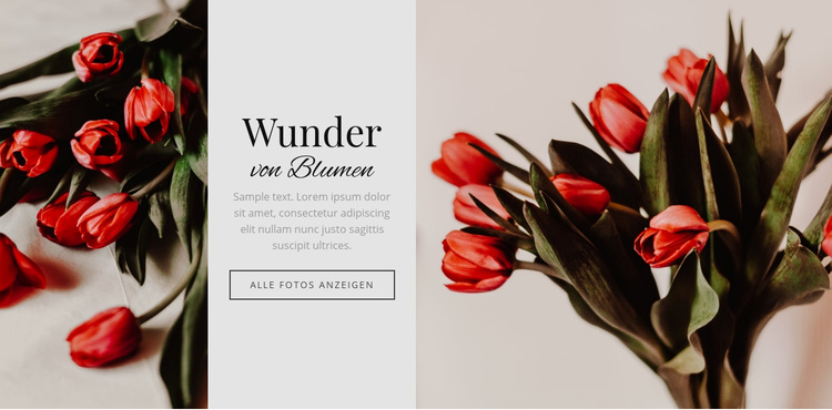Wunder blühen WordPress-Theme
