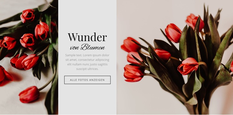 Wunder blühen Landing Page