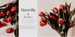 Flor De Maravillas - Diseño De Sitio Web Adaptable