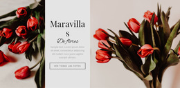 Flor De Maravillas - Descarga De Plantilla De Sitio Web