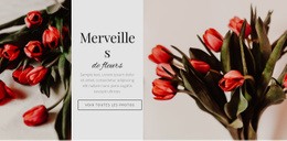 Fleur Des Merveilles - Conception De Sites Web Réactifs