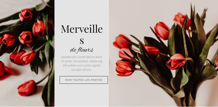 Fleur des merveilles Conception de site Web