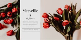 Fleur Des Merveilles Modèle De Site Web CSS Gratuit