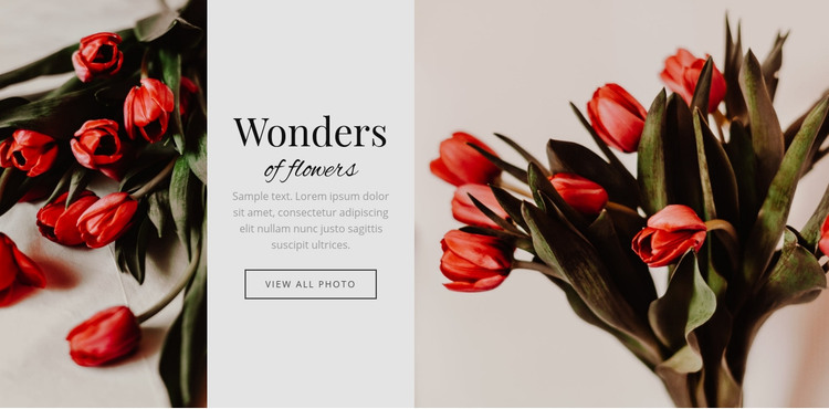 Wonders flower Homepage Design