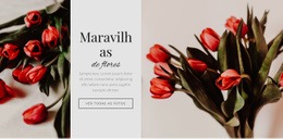 Flor Maravilhas - Design De Site Responsivo