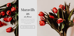 Flor Maravilhas - Modelo De Página HTML