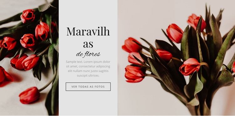 Flor maravilhas Modelo HTML5