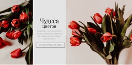 Цветок Чудес Бесплатный Шаблон Веб-Сайта CSS