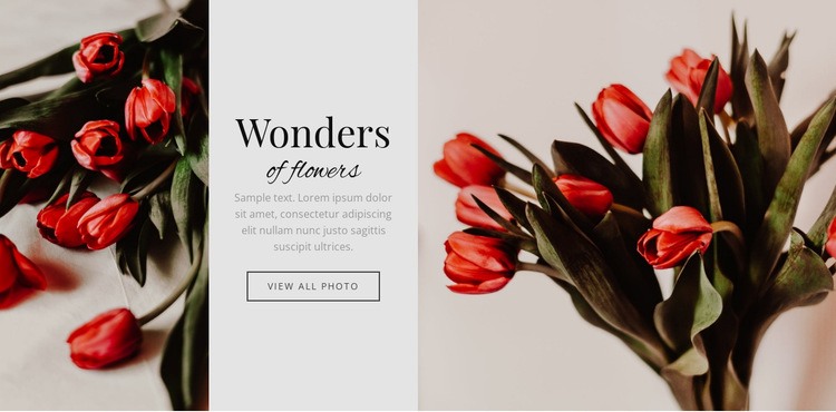 Undrar blomma Html webbplatsbyggare