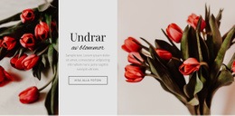 Undrar Blomma Gratis CSS-Webbplatsmall