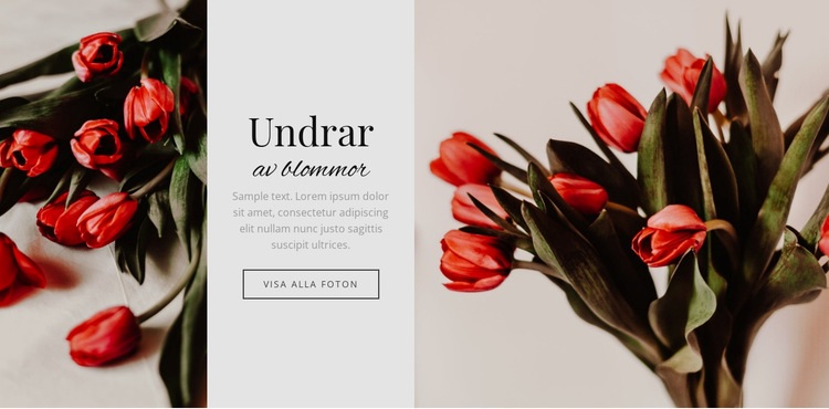 Undrar blomma CSS -mall