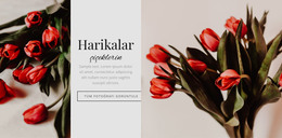 Harikalar Çiçek - HTML Şablonu Indirme