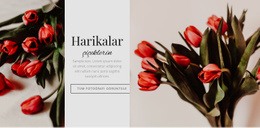 Harikalar Çiçek - Modern Tek Sayfalık Şablon