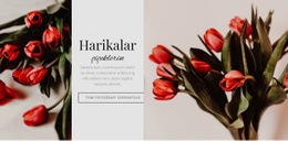 Harikalar Çiçek - Duyarlı Web Sitesi Tasarımı