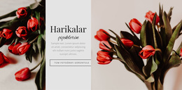 Harikalar Çiçek - En Iyi Ücretsiz WordPress Teması