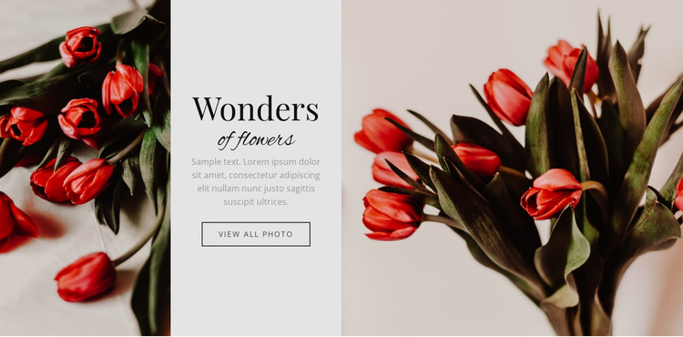 Wonderen bloem Website Builder-sjablonen