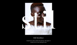 Kraliçe Tarzı - En Iyi Web Sitesi Şablonu Tasarımı