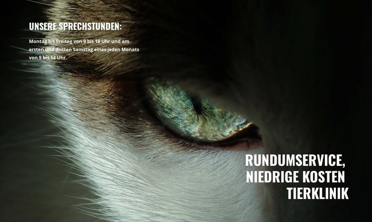 Tiergesundheit und Wellness Website design