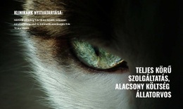 A Háziállatok Egészsége És Jóléte - HTML- És CSS-Sablon