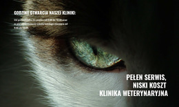 Zdrowie I Dobre Samopoczucie Zwierząt - Najlepszy Projekt Szablonu Strony Internetowej