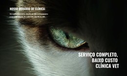 Saúde E Bem-Estar Animal De Estimação Agendamento De Consulta Médica