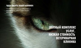 Здоровье И Благополучие Питомца – Лучший Дизайн Сайта