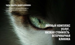 Здоровье И Благополучие Питомца – Лучший Бесплатный Макет