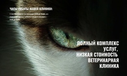 Здоровье И Благополучие Питомца – Лучший Дизайн Шаблонов Веб-Сайтов