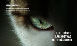 Djurhälsa Och Välbefinnande - Bästa Designen Av Webbplatsmall