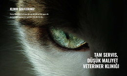 Evcil Hayvan Sağlığı Ve Zindeliği - HTML Sayfası Şablonu