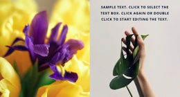 Blumen Und Frühling - HTML5-Vorlage Für Eine Seite